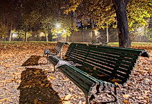 Clicca per ingrandire - Suggestivo scorcio del viale che attraversa i Giardini Reali &copy; Fabrizio Amort - www.torinoacolori.it
